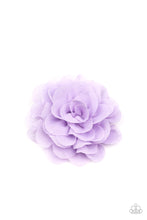 Load image into Gallery viewer, Dahlia Diva - Purple
